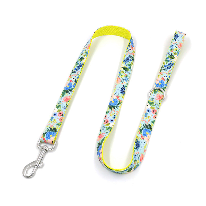 Nuevo diseño de juego de collar y correa para perros
