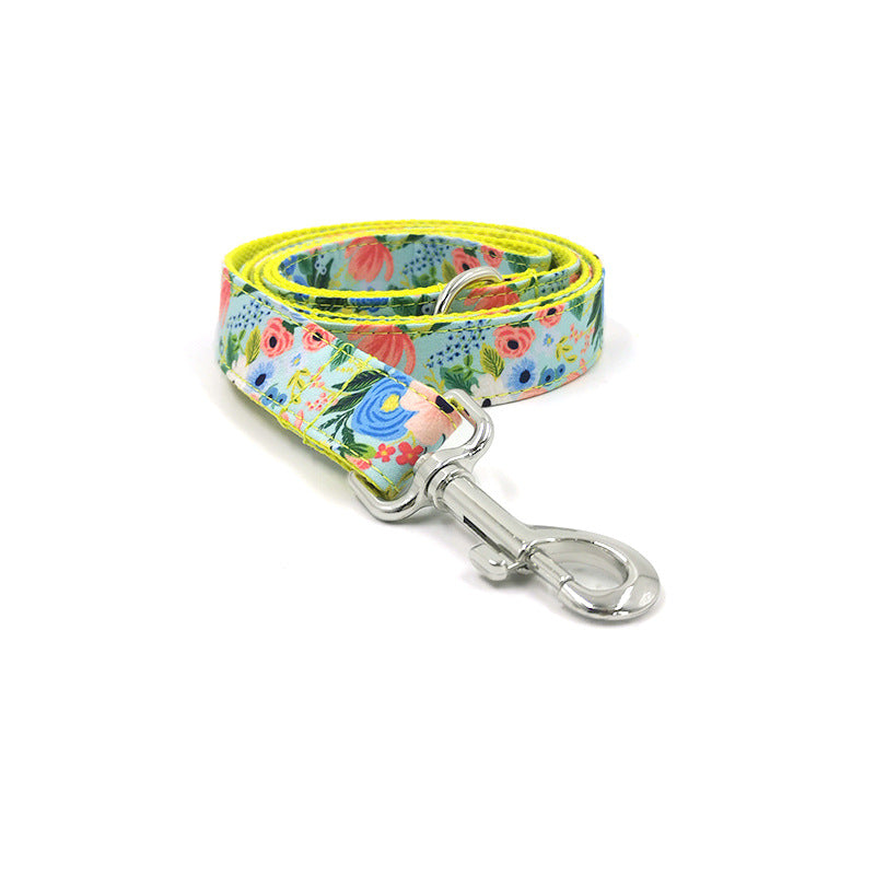 Nuevo diseño de juego de collar y correa para perros