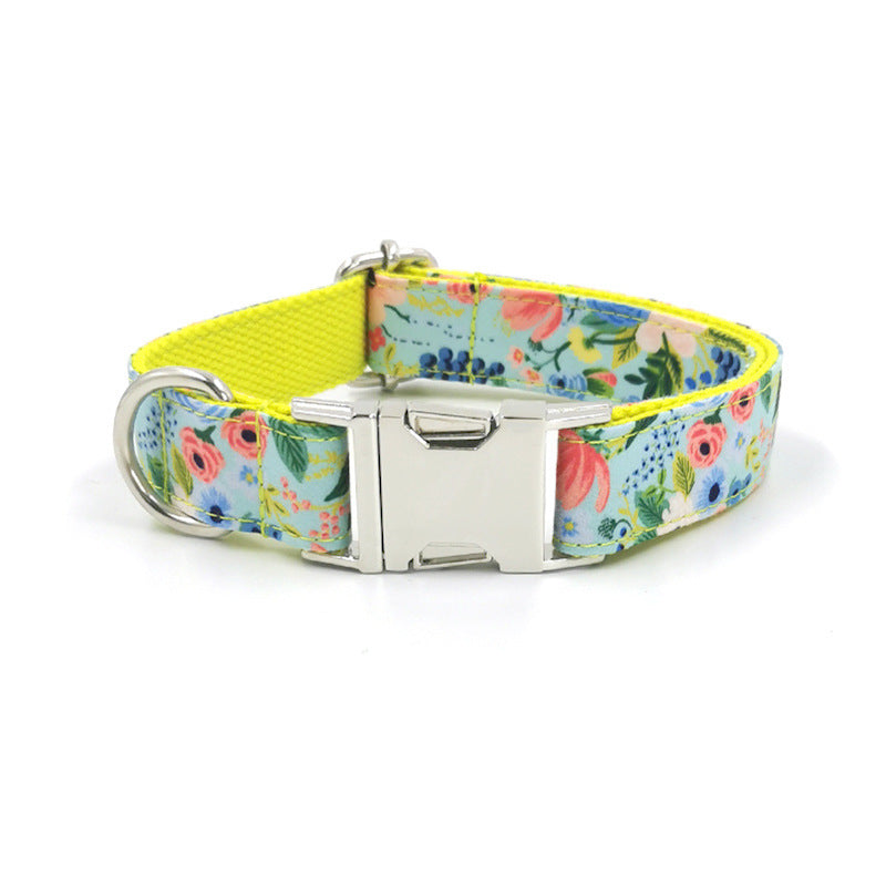 Nuevo diseño de juego de collar y correa para perros