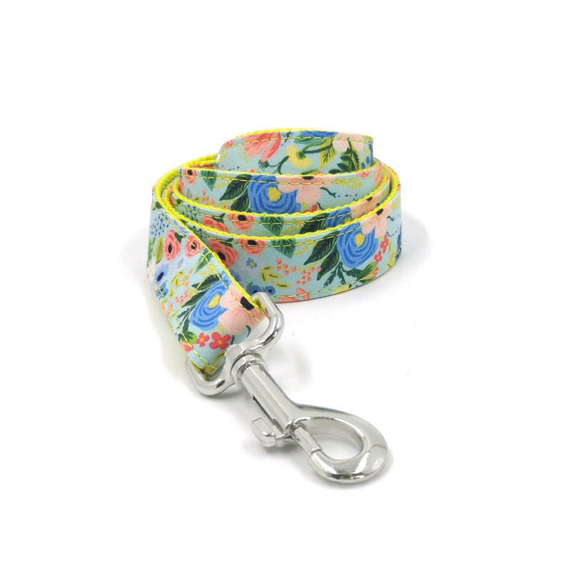 Nuevo diseño de juego de collar y correa para perros